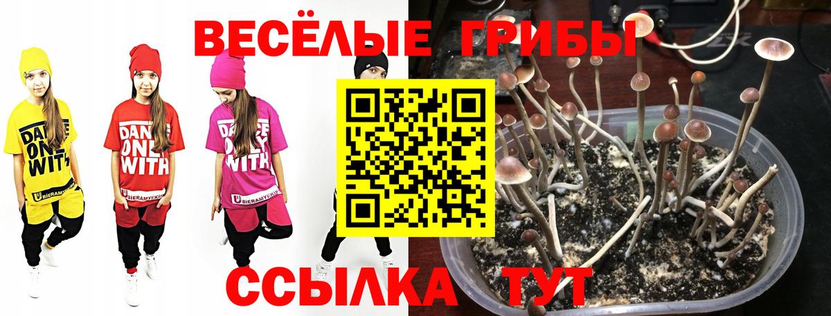 Галлюциногенные грибы мухоморы  Вход с VPN  Вятские Поляны  Галлюциногенные грибы MAGIC MUSHROOMS 