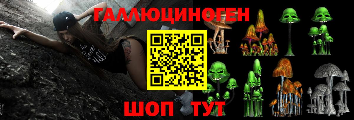 Галлюциногенные грибы Cubensis Вятские Поляны